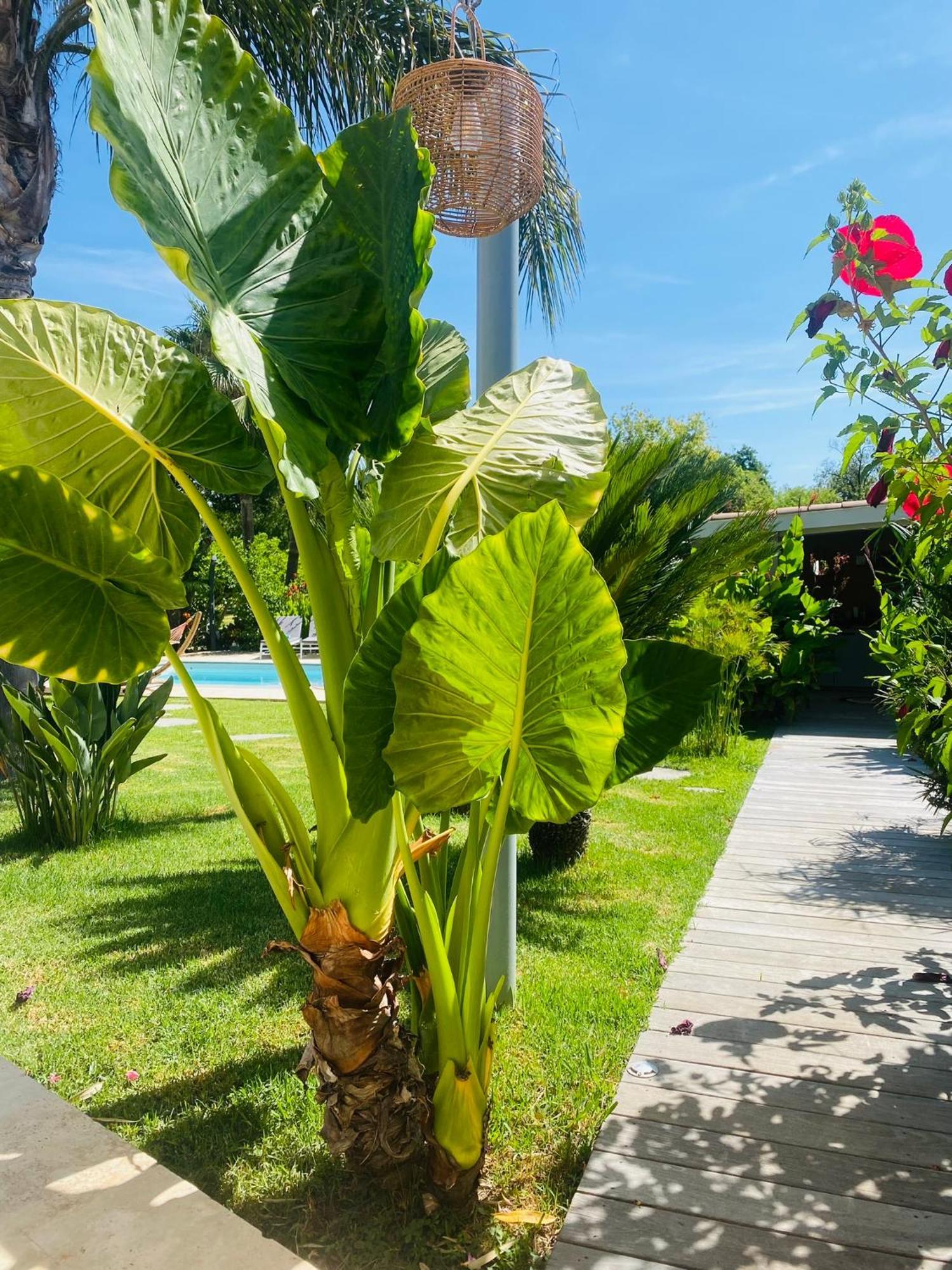Le Cocoon Lodge Du Gapeau & Massage Sollies Pont Exterior photo