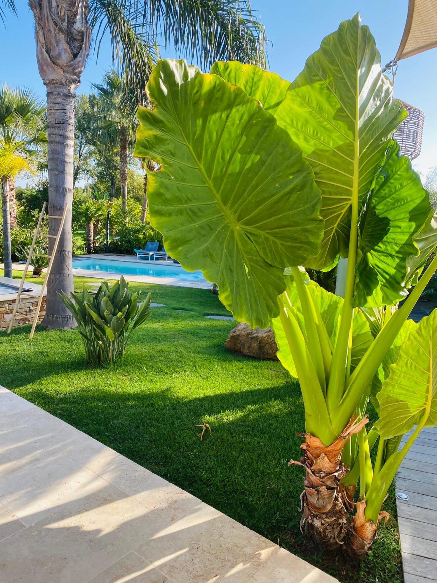 Le Cocoon Lodge Du Gapeau & Massage Sollies Pont Exterior photo